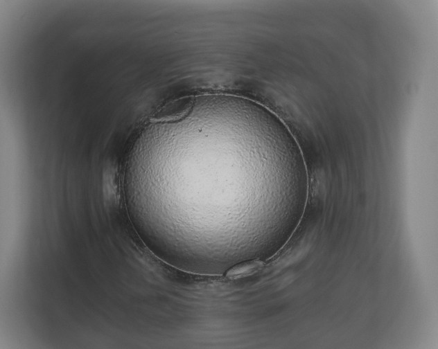 X0000110981202200906261422