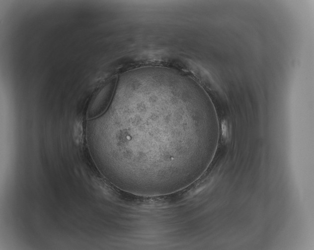 X0000110981203200906261422