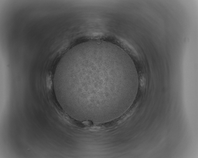 X0000110981204200906261422