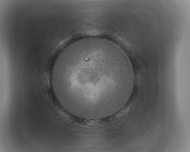 X0000110981205200906261422