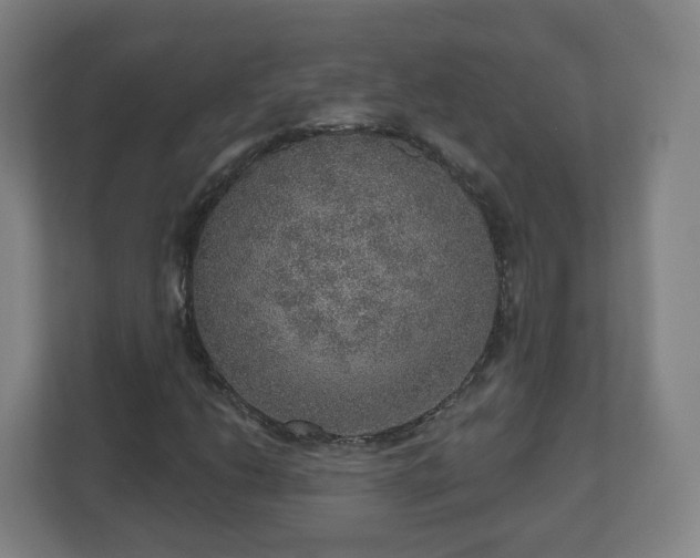 X0000110981206200906261422