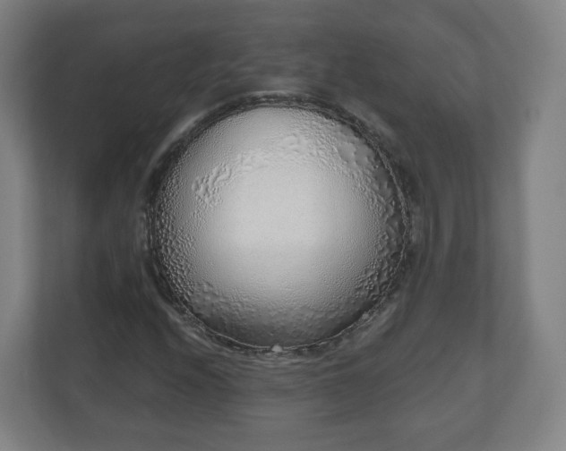 X0000110981208200906261422