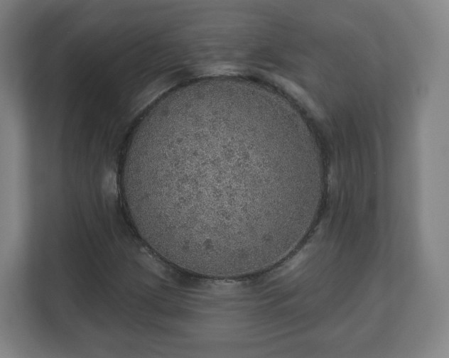 X0000110981209200906261422