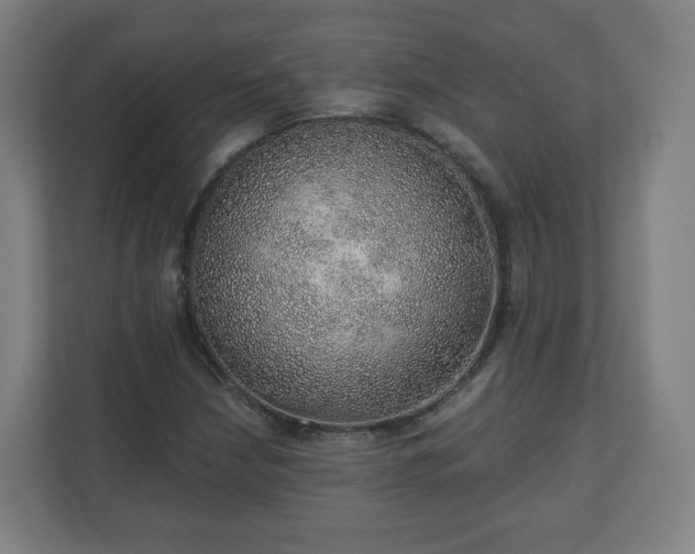 X0000110981210200906261422