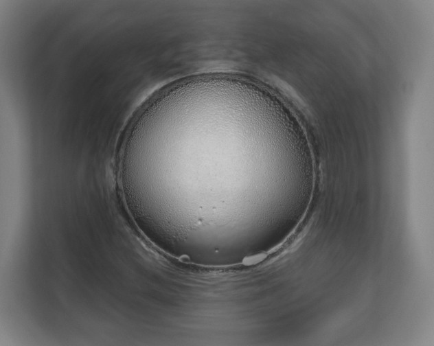 X0000110981212200906261422