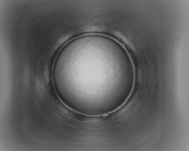 X0000110981213200906261422