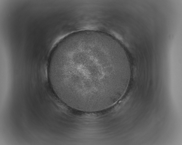 X0000110981214200906261422