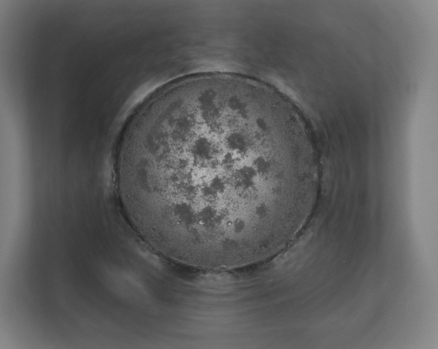 X0000110981215200906261422