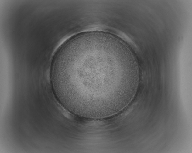 X0000110981216200906261422