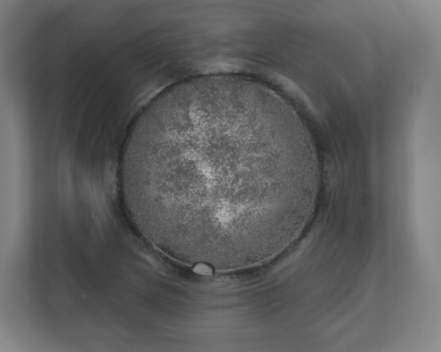 X0000110981217200906261422