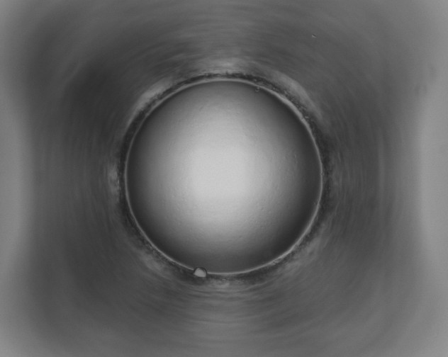 X0000110981218200906261422