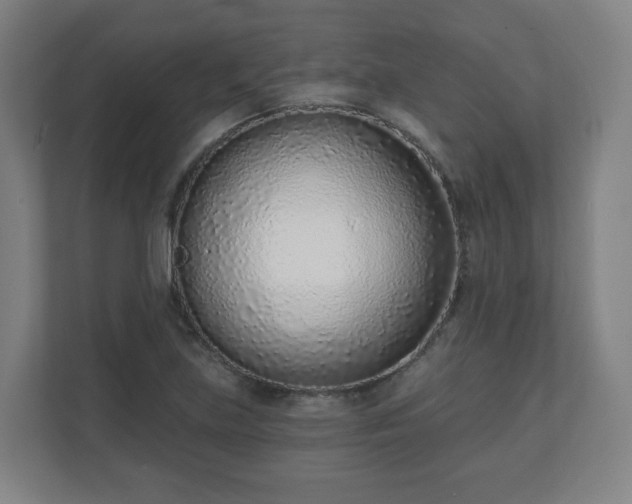 X0000110981219200906261422