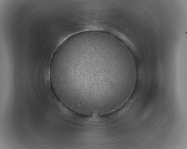 X0000110981220200906261422