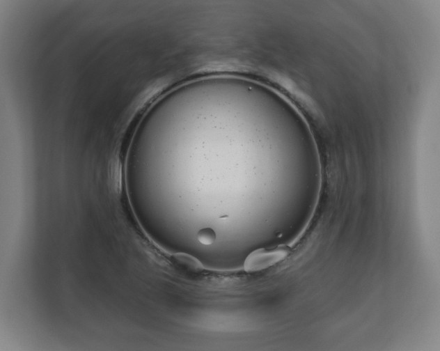 X0000110981221200906261422