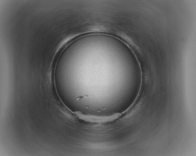 X0000110981222200906261422