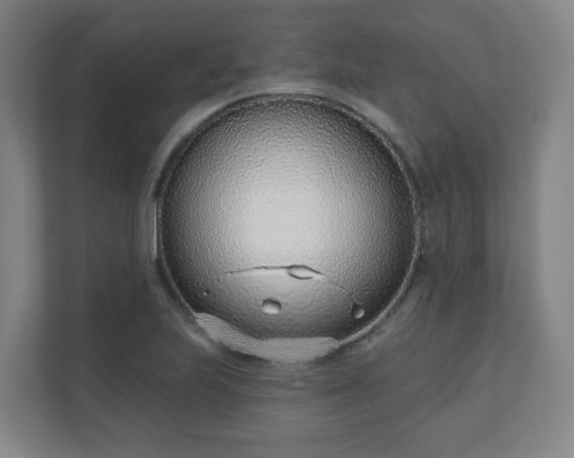 X0000110981223200906261422