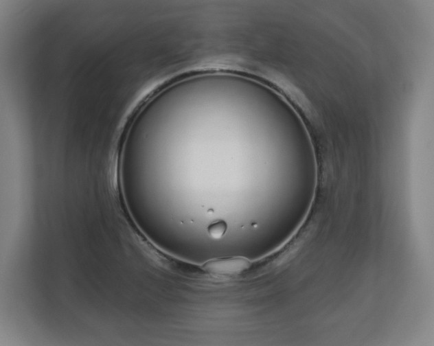 X0000110981224200906261422