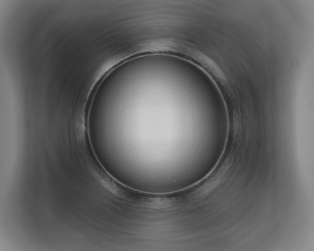 X0000110981226200906261422