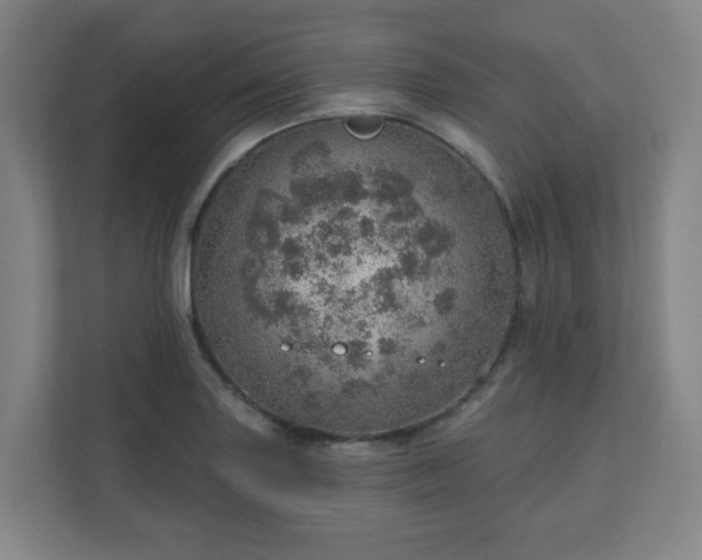 X0000110981227200906261422