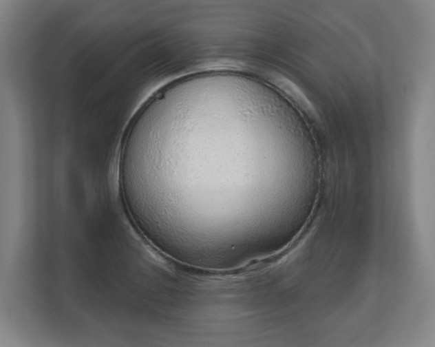 X0000110981228200906261422