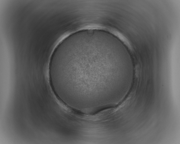 X0000110981229200906261422