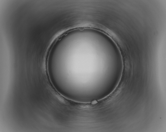 X0000110981230200906261422