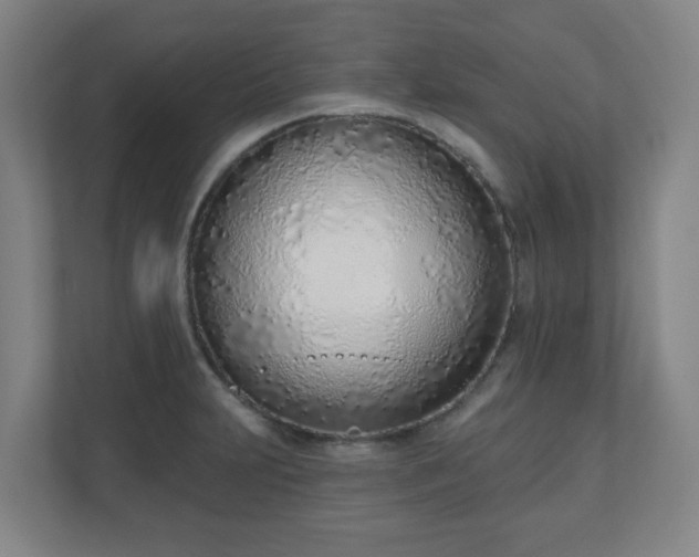 X0000110981231200906261423