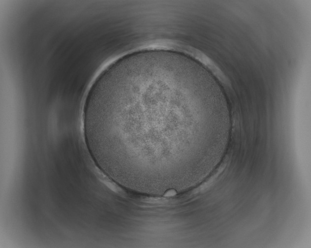 X0000110981232200906261423