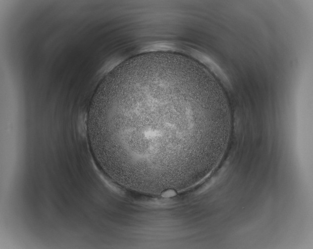 X0000110981233200906261423