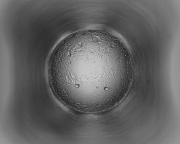 X0000110981235200906261423