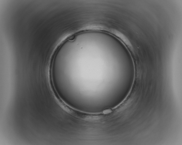 X0000110981237200906261423