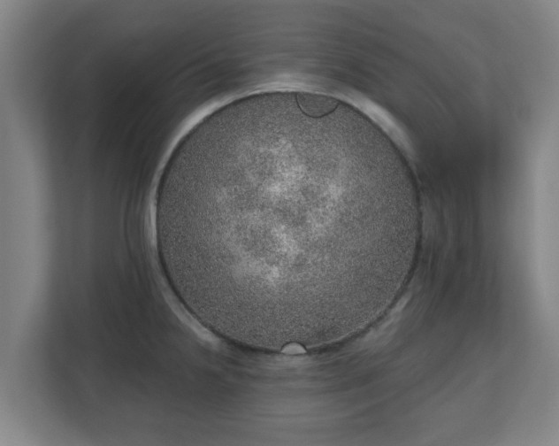 X0000110981238200906261423