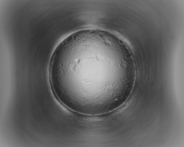 X0000110981239200906261423