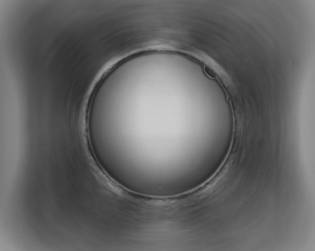 X0000110981240200906261423