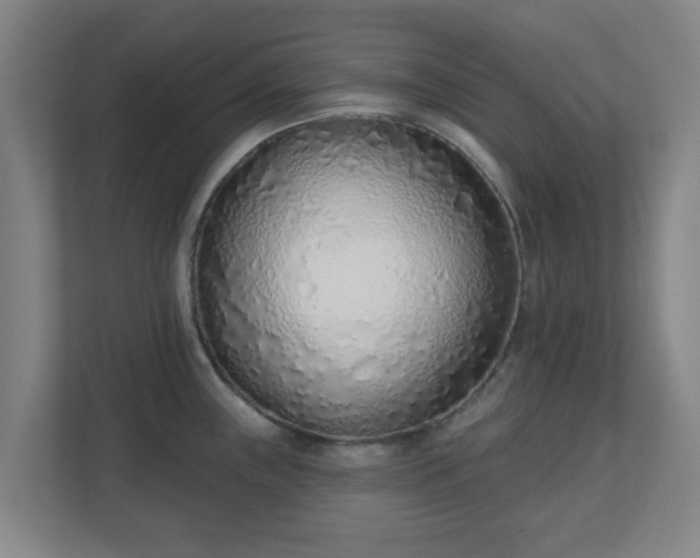 X0000110981243200906261423