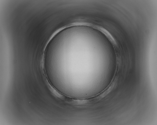 X0000110981244200906261423