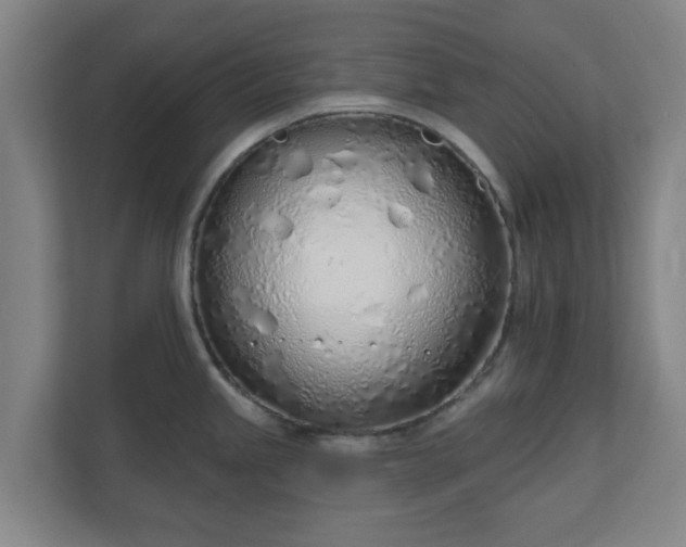 X0000110981245200906261423