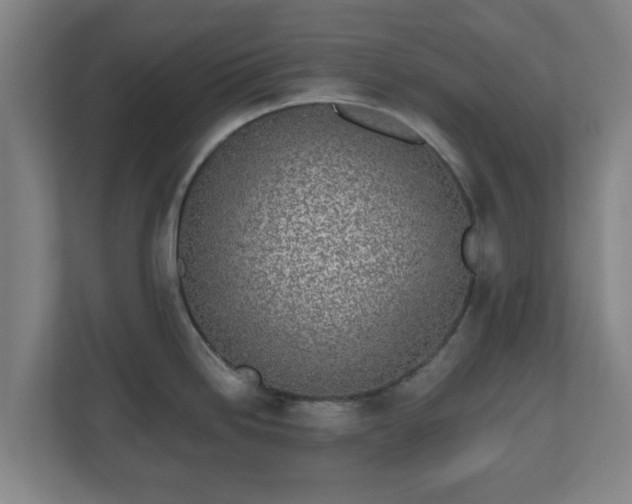 X0000110981246200906261423