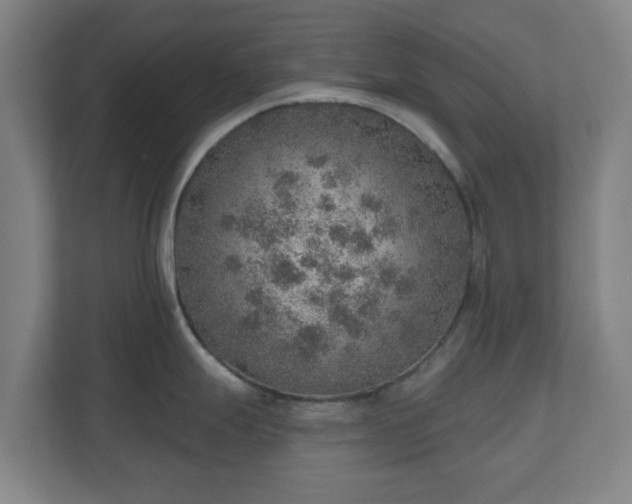 X0000110981247200906261423