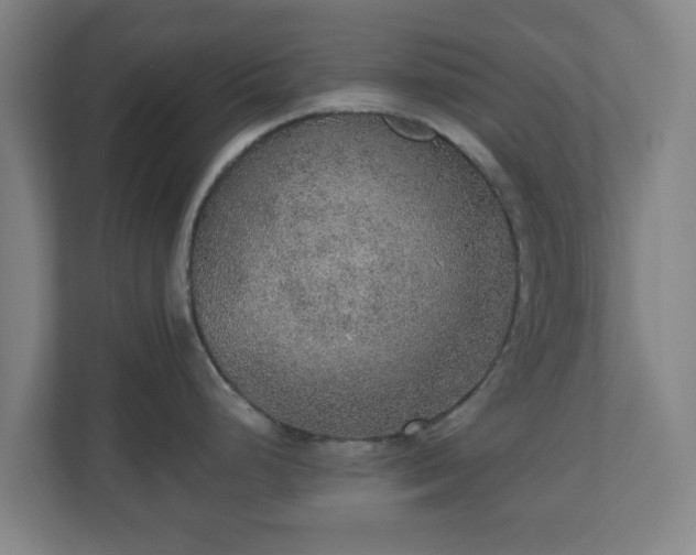 X0000110981248200906261423