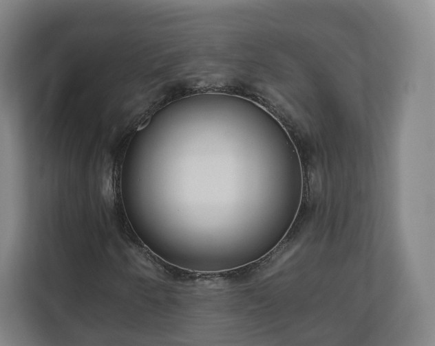 X0000110981250200906261422