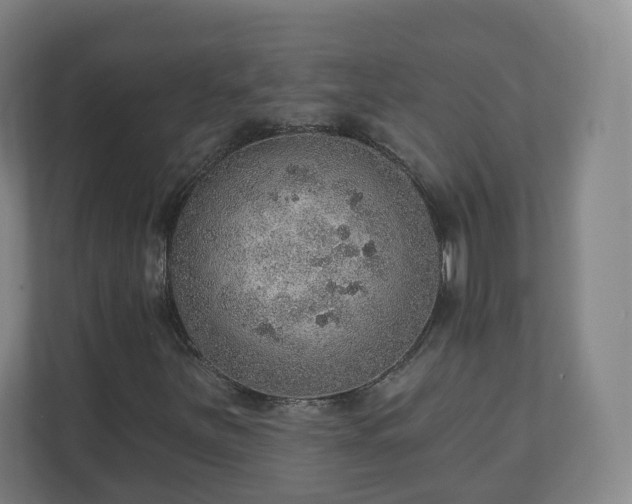 X0000110981251200906261422