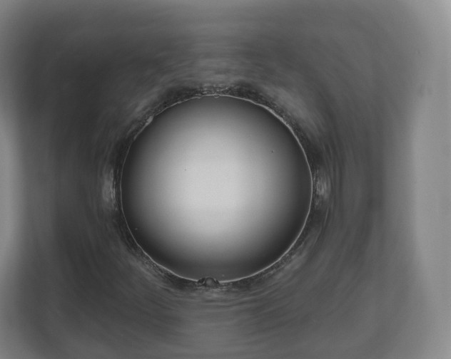 X0000110981252200906261422