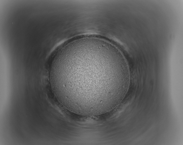 X0000110981255200906261422