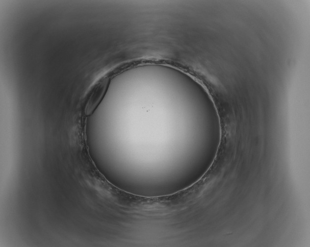 X0000110981256200906261422