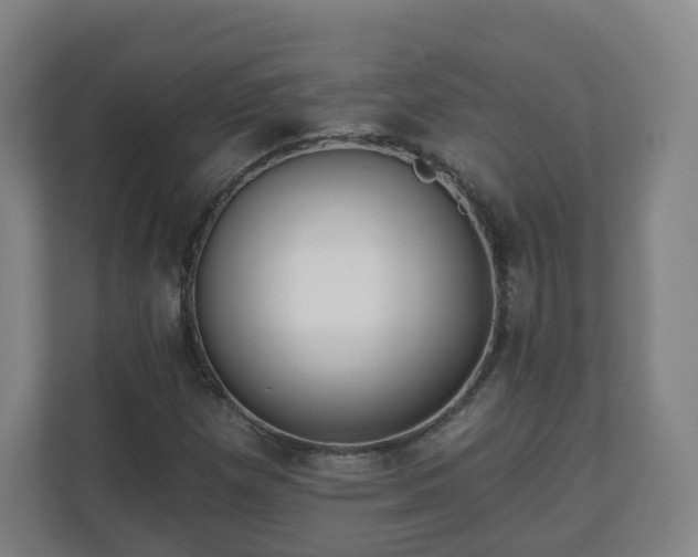 X0000110981257200906261422