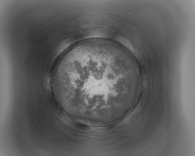 X0000110981258200906261422