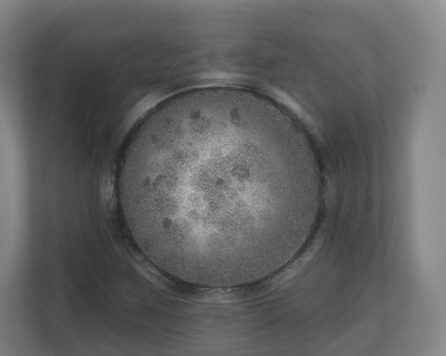 X0000110981259200906261422