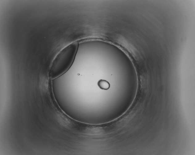 X0000110981260200906261422