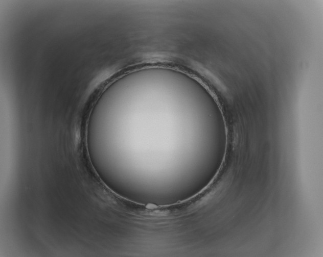 X0000110981261200906261422